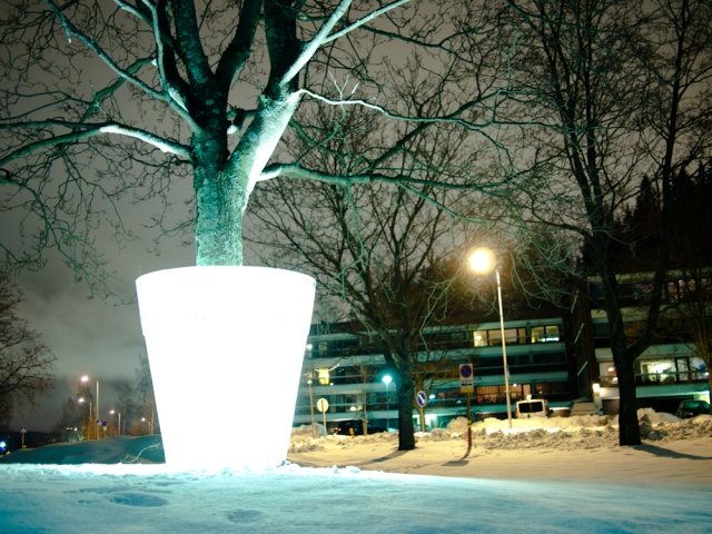 Adessin-Valopuu-plantador-lâmpada LED-outdoor-inserir