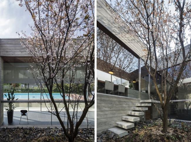 casa com piscina no jardim da floresta do Japão