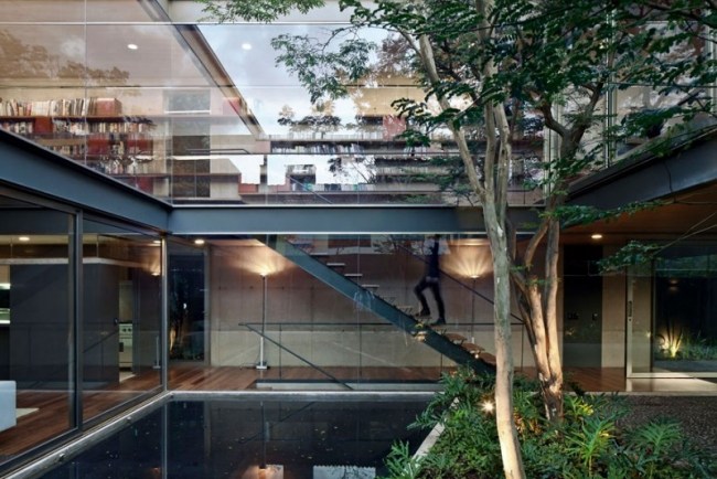 Casa transparente Brasil - viver moderno perto da natureza