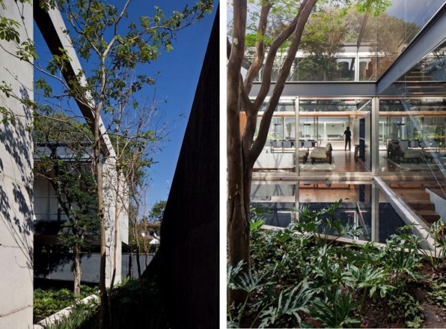 Bacopari House Flat Roof Garden Pool Pool
