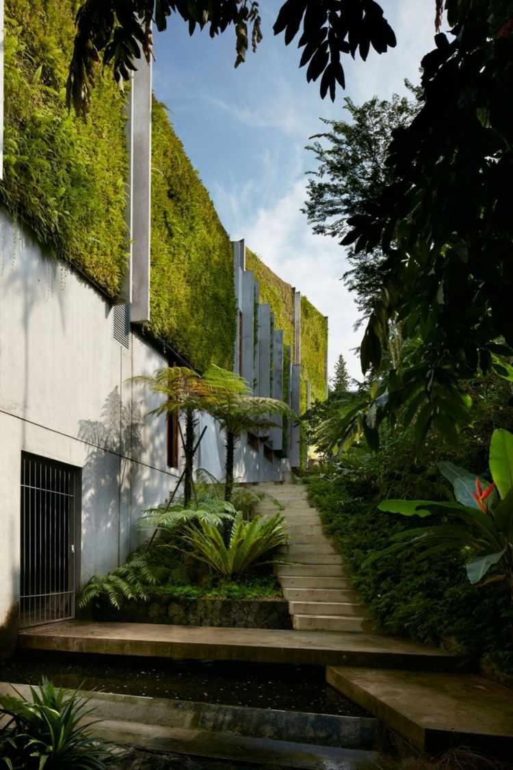 bio solar house vertical-jardim-fachada-projeto-plantas tropicais