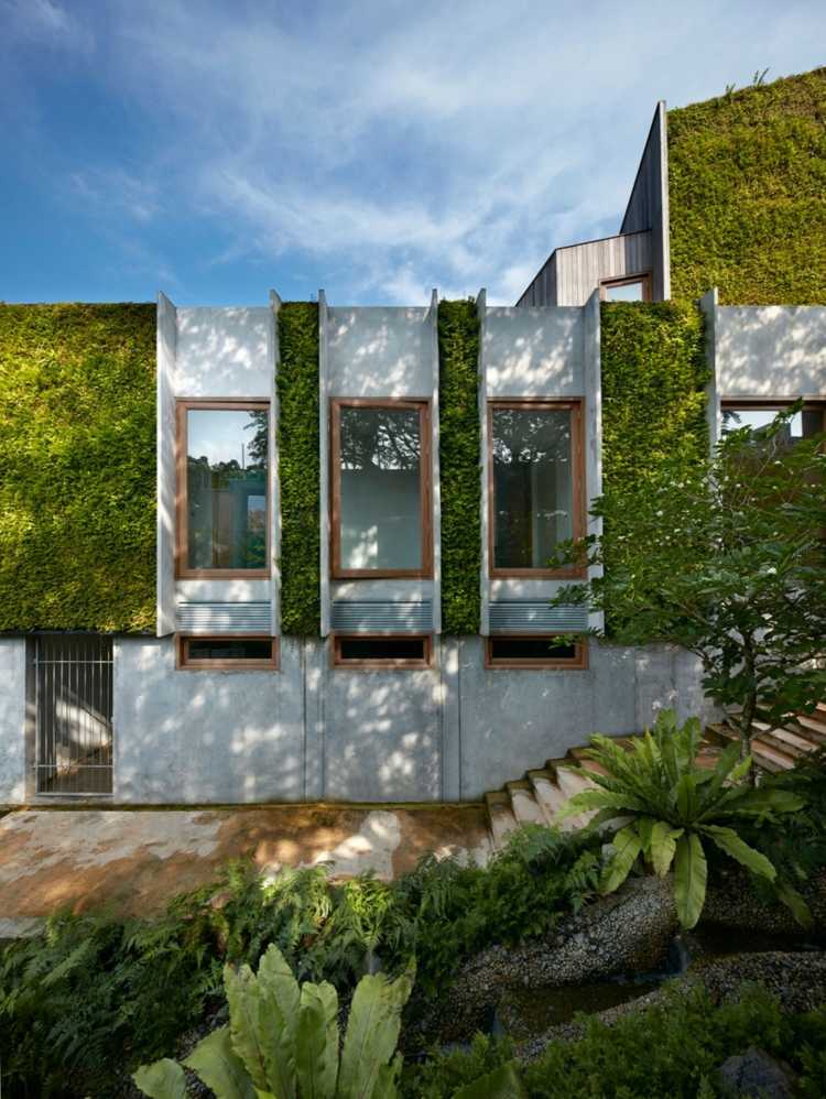 bio-solar-house-window-idea-wood-window-frames-exótico-plantio