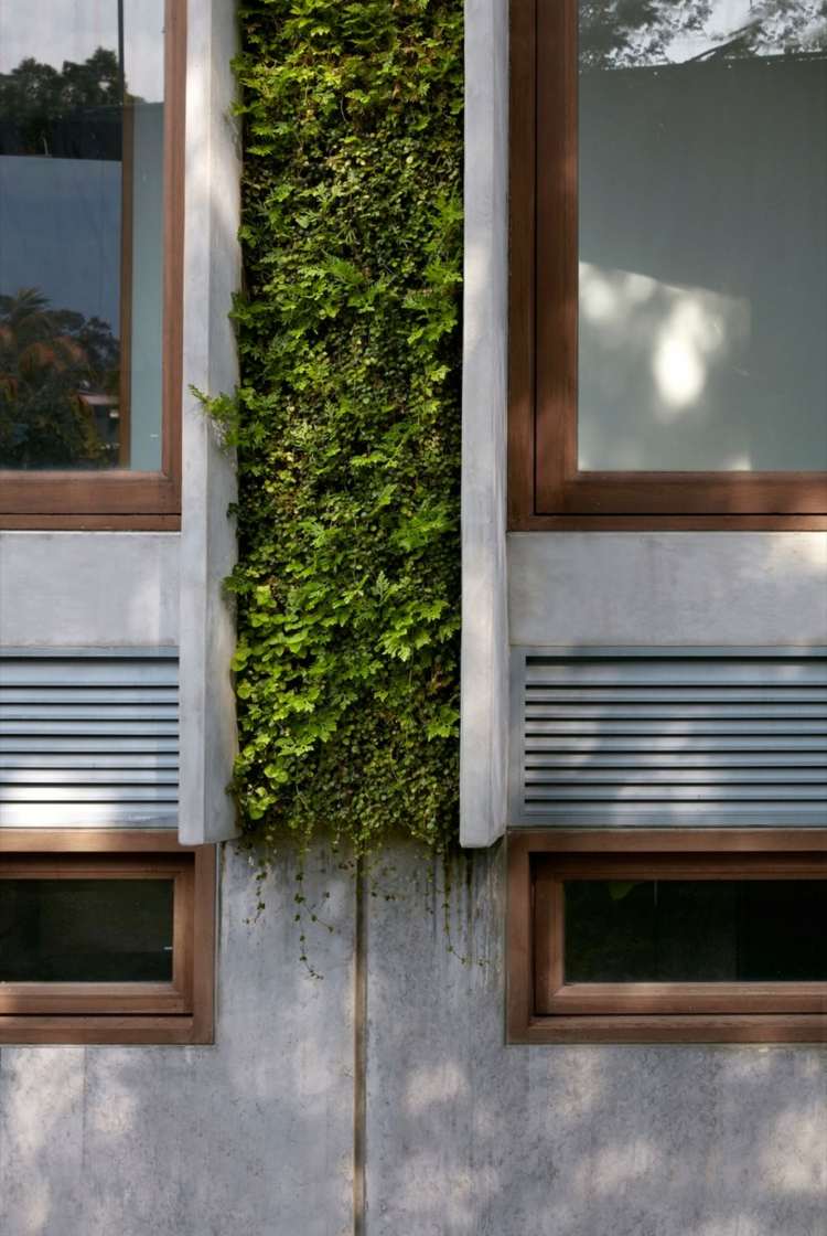 bio-solar-casa-ventilação-ideia-passiva-casa-design-ecológico
