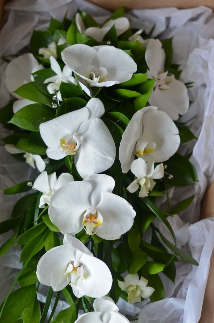 decoração flores orquídea folhas verdes grinalda casamento noiva