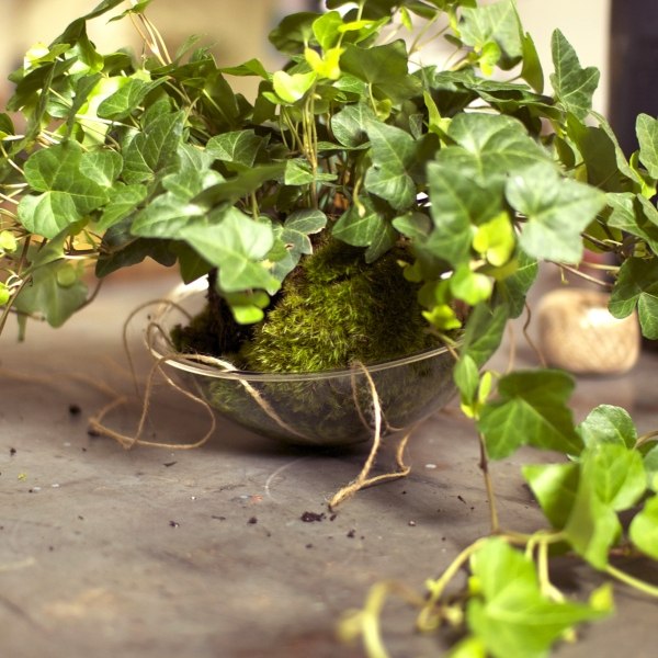 Arranjos de idéias de artesanato para cestas de flores penduradas