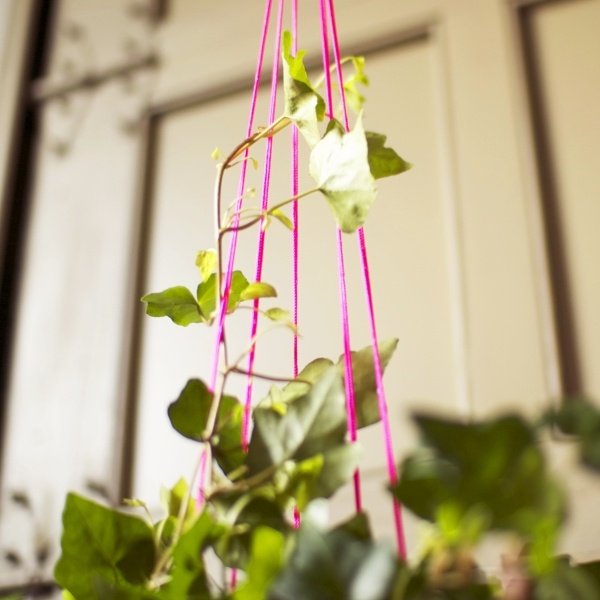 Idéias interessantes de artesanato com flores, plantas verdes