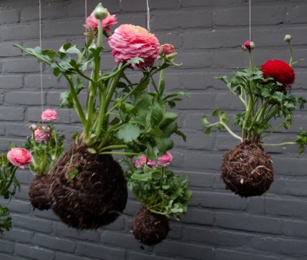 Dicas de design para jardim de flores penduradas