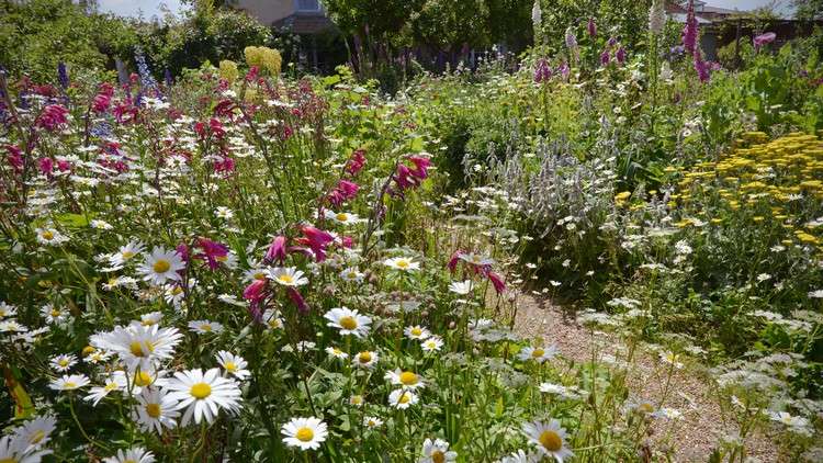 Criando um canteiro de flores no estilo de uma casa de campo Dicas e truques