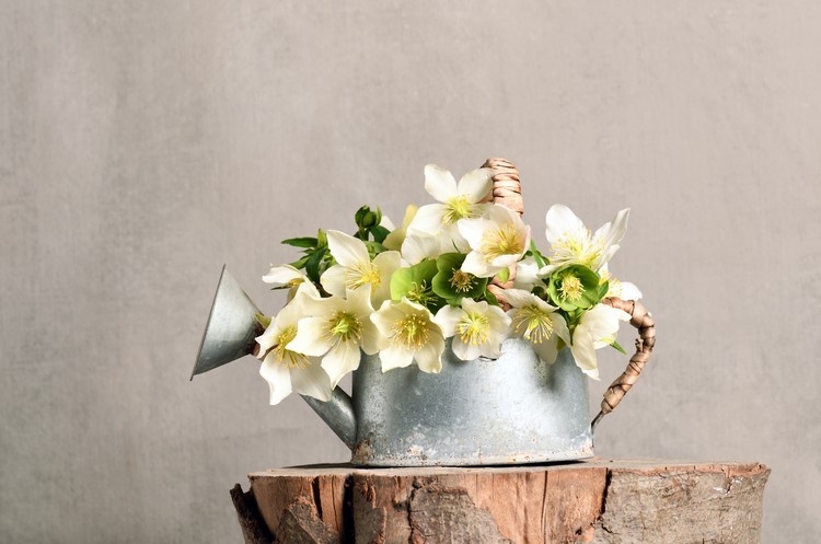 Decoração de flores na sala de estar com ideias de decoração de primavera