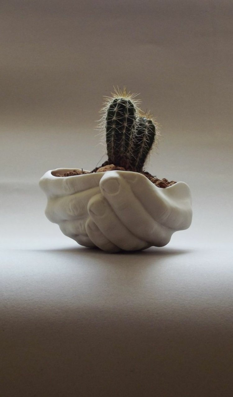mão vazia projeto branco vaso de flores cactos feitos à mão