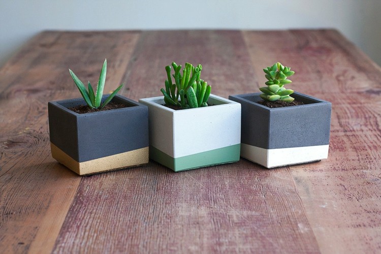 vaso de flores projeto cubo quadrado suculentas modernas preto verde