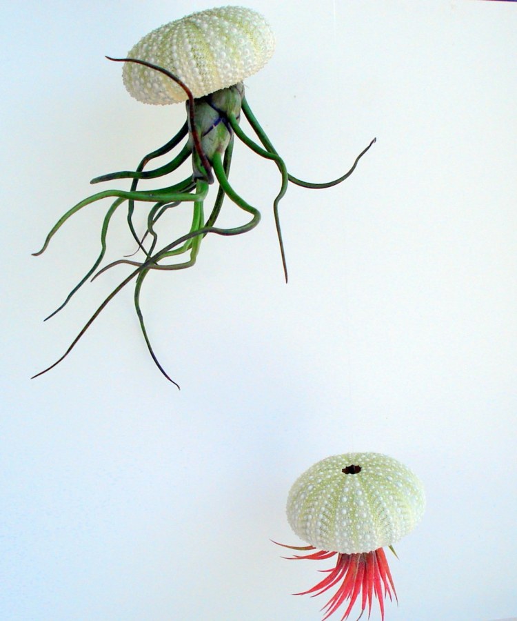 água-viva vaso de flores projeto planta ideia etsy feito à mão