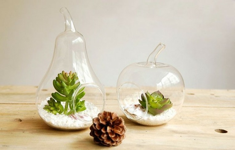 projeto de vidro vaso de flores moderno pera maçã pinho pinha suculentas