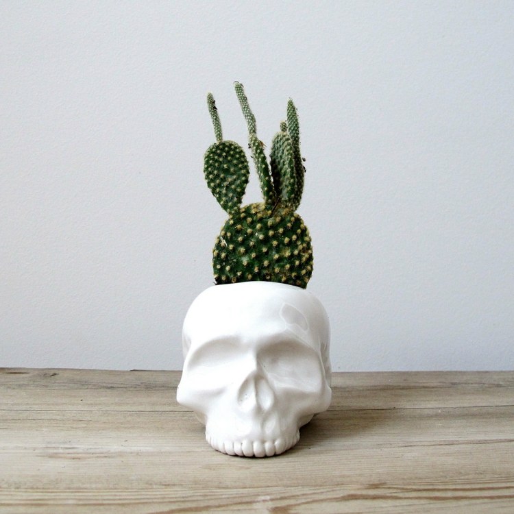 decoração de interiores design de vaso de flores de cacto de caveira branca