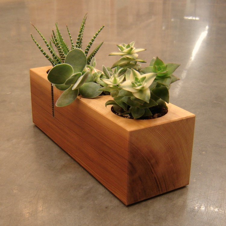 projeto de madeira flor caixa suculenta aloe bloco deco