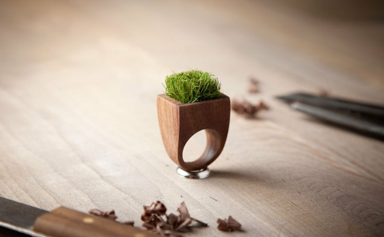 anel projeto vaso de flores madeira gramado plantas faca joias