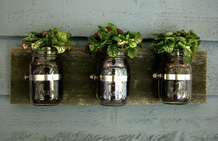 Pote de pedreiro decoração de parede de plantas vaso de flores original faça você mesmo