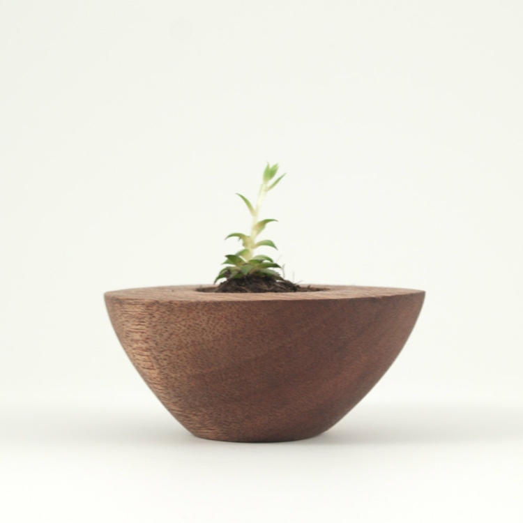 tigela de madeira redonda projeto vaso de flores decoração de plantas moderna