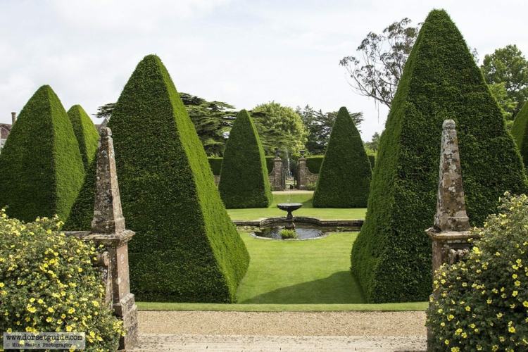buxo-topiaria-pirâmides-grande-francês-jardim