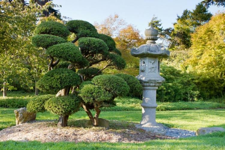 buxo-topiária-bonsai-cipreste-conífera-japonês-jardim-destaque