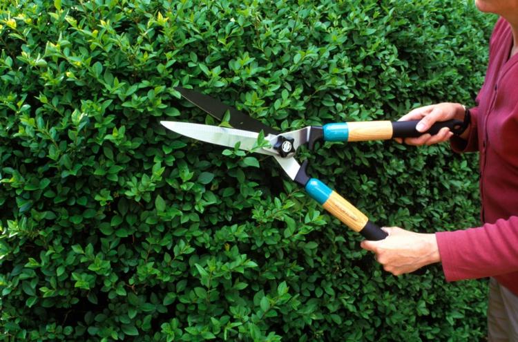 buxo-topiária-longa-tesoura-afiada-jardim-manutenção-diy