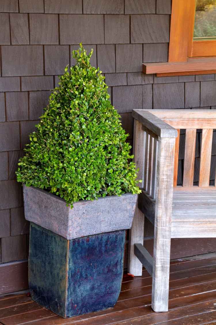 jardim de buxo em forma de cone plantador banco de madeira varanda deco