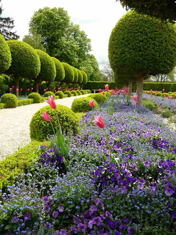 árvore de ideia de jardim de buxo flores esféricas flores roxas