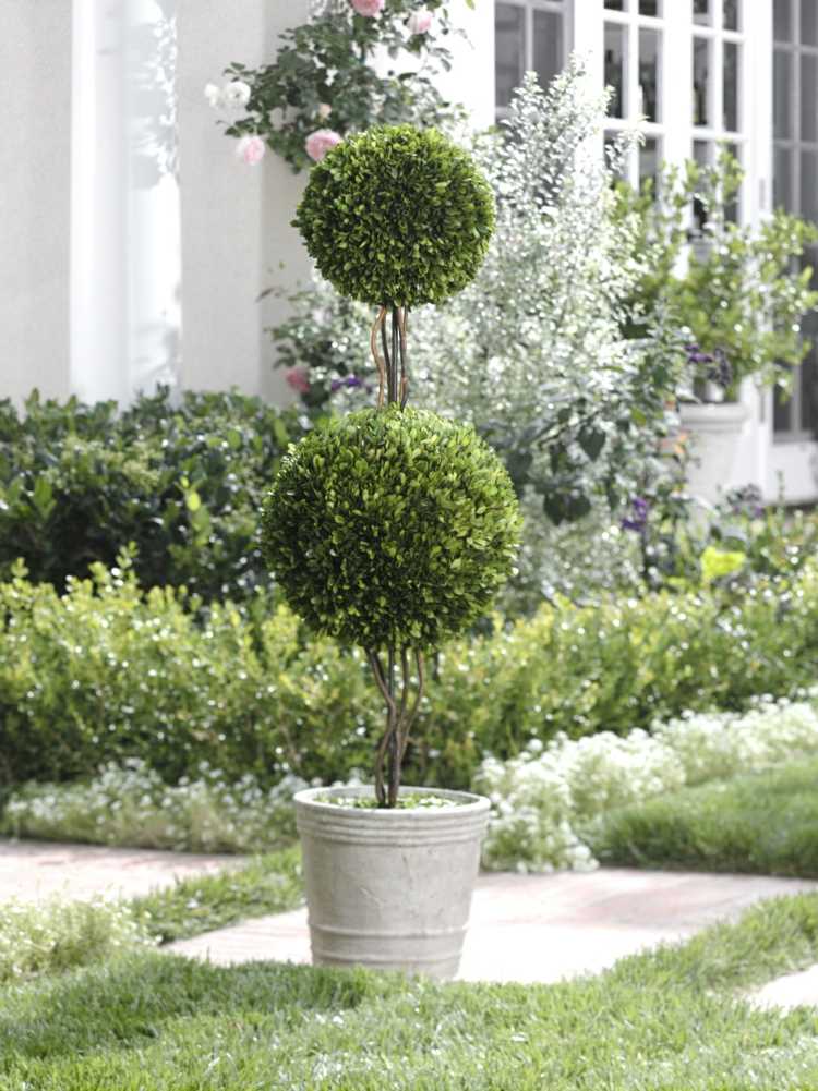 balde de jardim de buxo, vaso de flores, bolas de metal cortadas