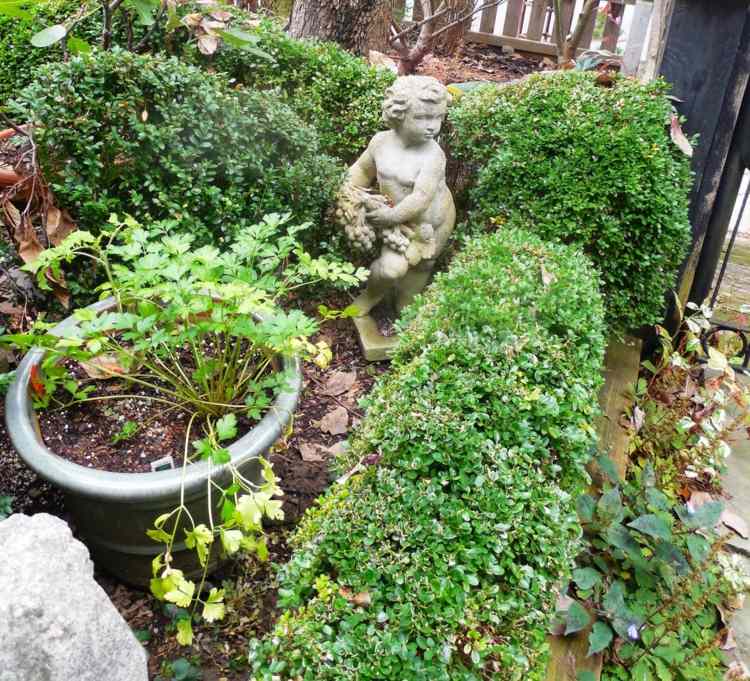 jardim de buxo estátua de anjo plantador inverno evergreen