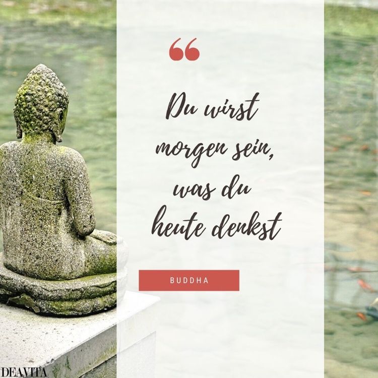 A sabedoria budista em imagens citações inspiradoras de Buda