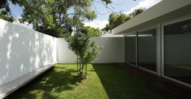 Casa com parede de concreto - árvore no pátio com fachada de vidro cultivada - telhado plano