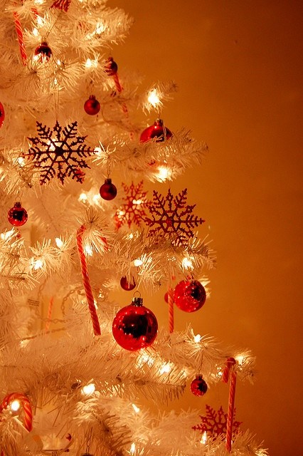 white-artificial-christmas-tree-fairy lights-red-bijuterias