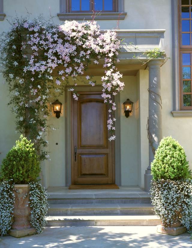 Plantas trepadeiras de entrada de casa Clemantis ciprestes perenes brancos