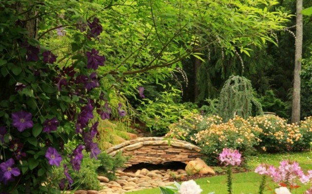 plantas de clematis roxo escuro ponte de pedra árvores do gramado