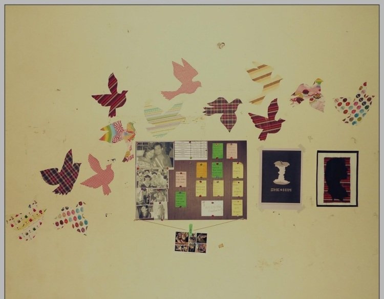 cool-living-ideas-faça-você-mesmo-parede-design-quarto-jovem-pôsteres-pássaros-voar
