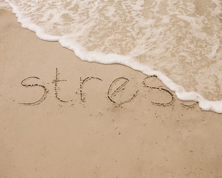 Regular o cortisol como um hormônio do estresse