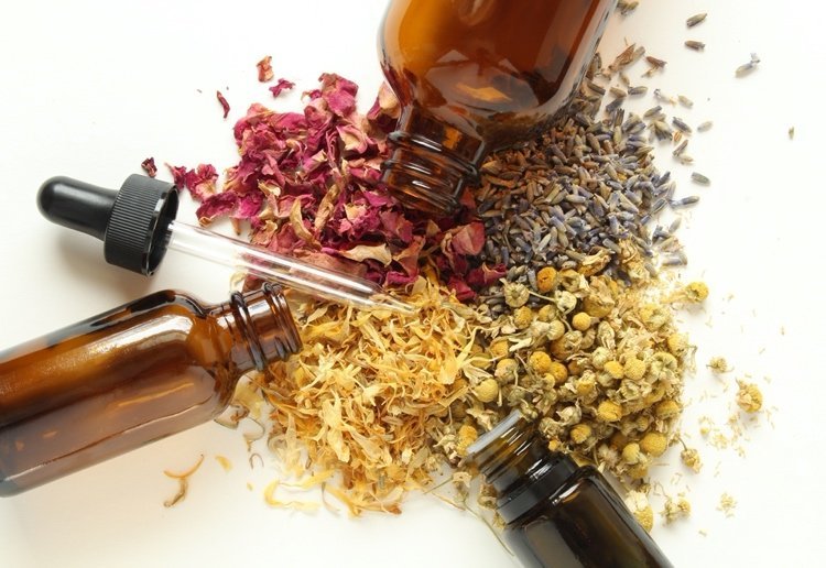Ervas medicinais e adaptógenos reduzem o cortisol contra o estresse
