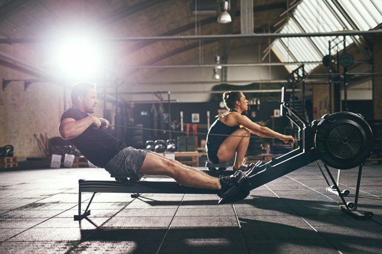 O cortisol aumenta durante o exercício e promove a degradação muscular