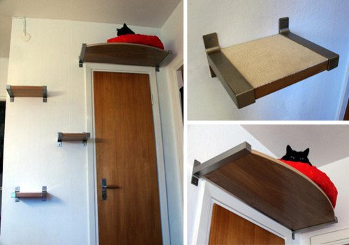 gato cama loft deitado sobre o travesseiro da porta