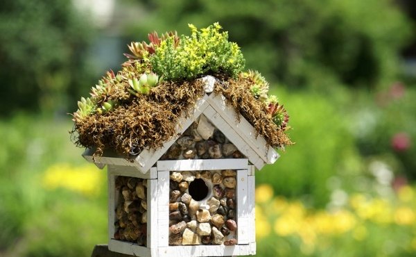 DIY bird feeder garden atrai pássaros projetos do-it-yourself
