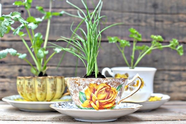 decoração de mesa de jardim ideias xícaras de chá como vasos de flores
