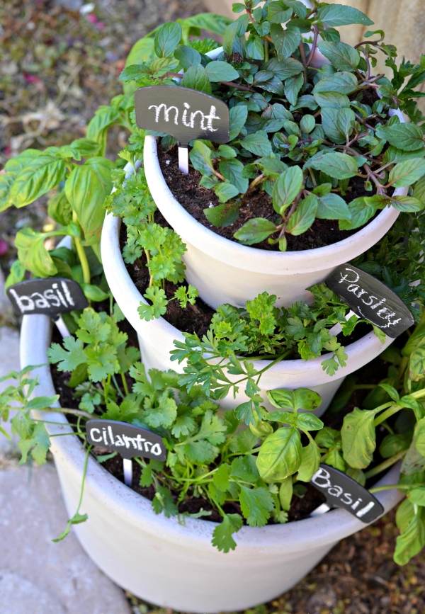 Jardim de ervas, vasos empilhados uns sobre os outros, cultivam diferentes plantas