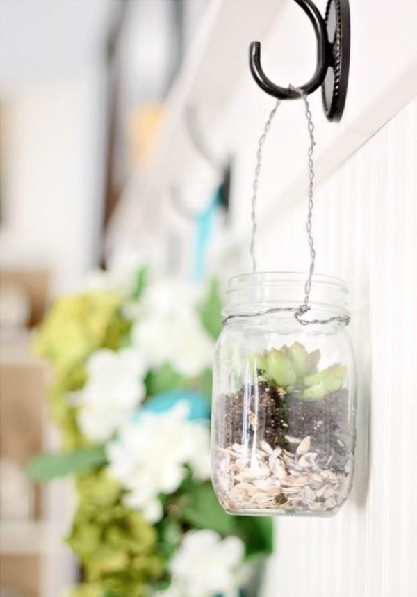 Enfeites de parede suculentos em vasos de flores pendurados no jardim
