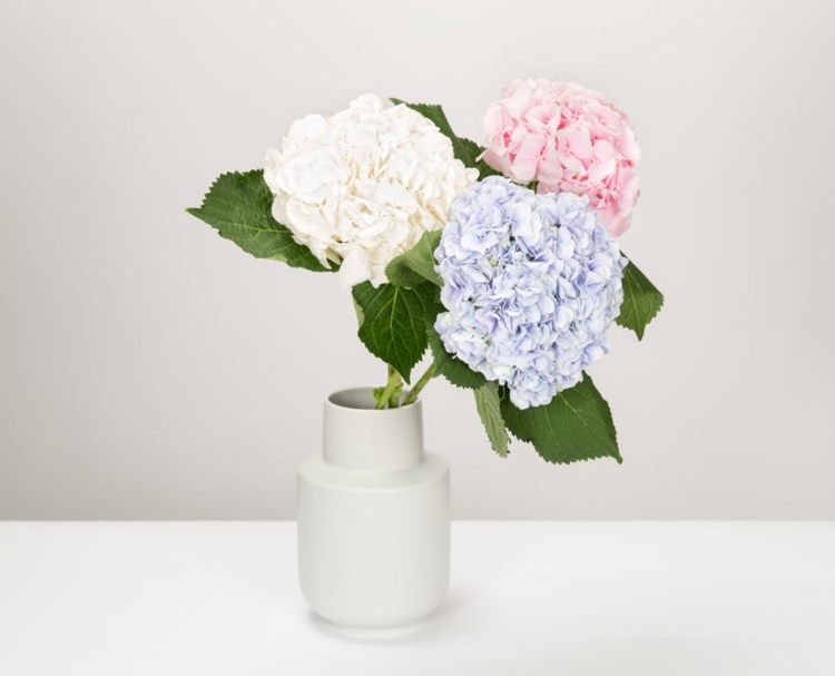 decoração com flores recortadas vaso de porcelana jacinto