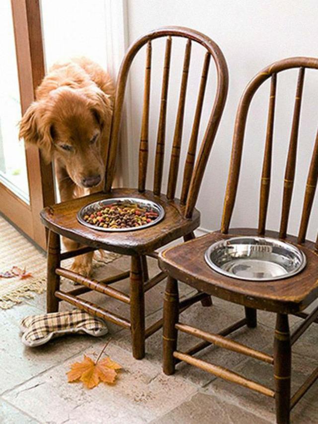 cadeiras tigela de comida para cachorro decoração de madeira faça você mesmo