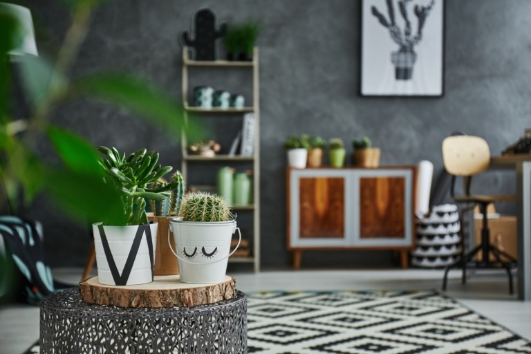 Dicas de decoração plantas acessórios para casa apimentam sala de estar
