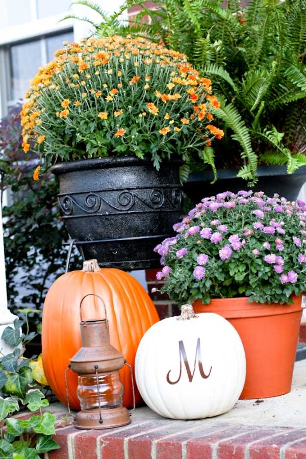Decoração de outono - para o exterior - abóboras esculpem vasos de flores