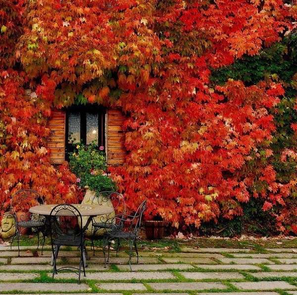 Jardim de outono - cadeiras de metal vermelho - lareira em estilo mediterrâneo