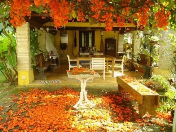 Decore as cores do outono, folhas de outono - curso de adorno ao ar livre