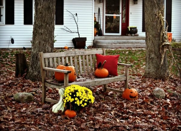 Banco de jardim, abóbora, decoração, idéias, área externa, folhas de outono, almofadas vermelhas